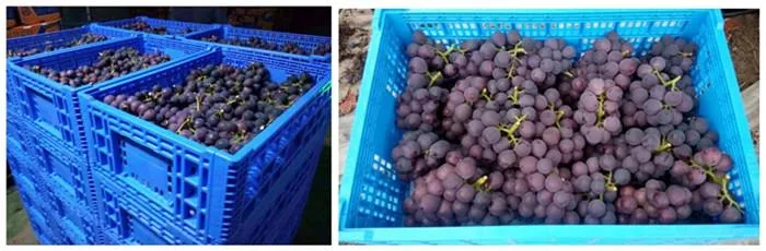 FSC מוסמך שקיות מתנה לקידום מכירות בנייר זהב