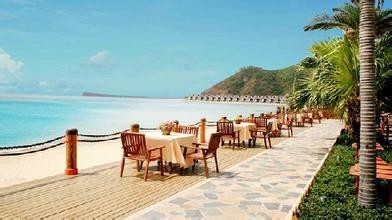 פעילות תאגידית