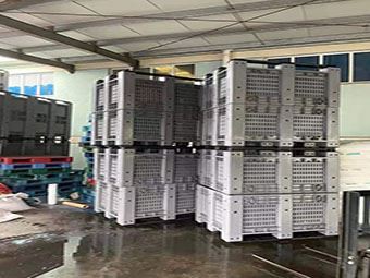 קופסאות משטחים מפלסטיק לאחסון חקלאי נמסרו לקוסטה ריקה