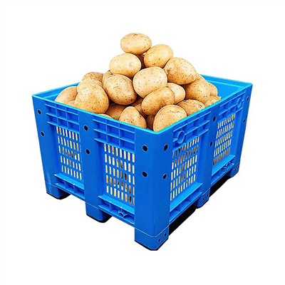 איך מיוצרים ארגזי פלסטיק? מדריך מלא לקונים מזון ולוגיסטיקה